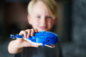 Liam, Age 8 - First Builder