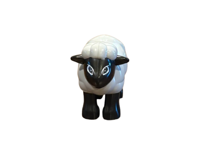 The Lost Sheep