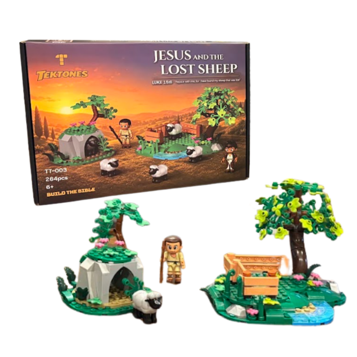 Jesus and the Lost Sheep building set and box