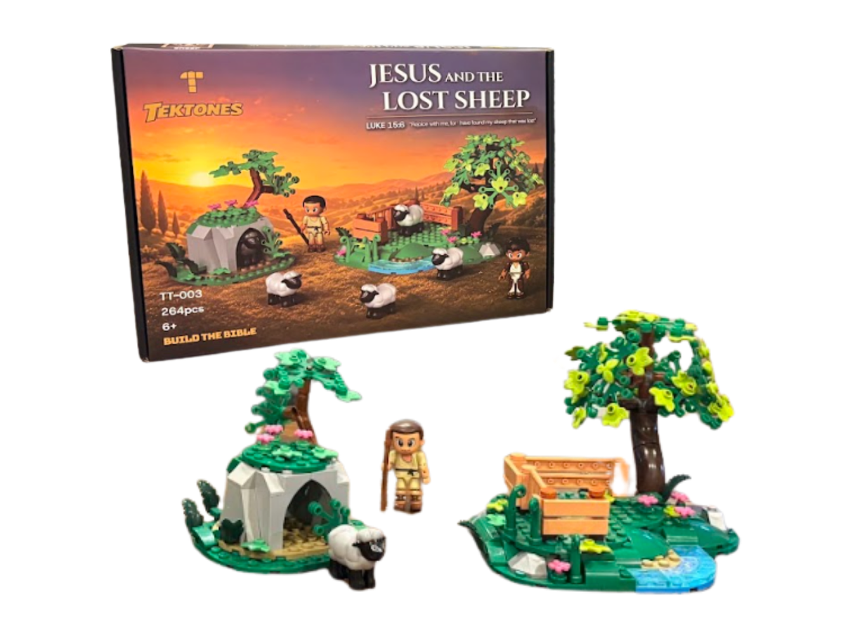 Jesus and the Lost Sheep building set and box