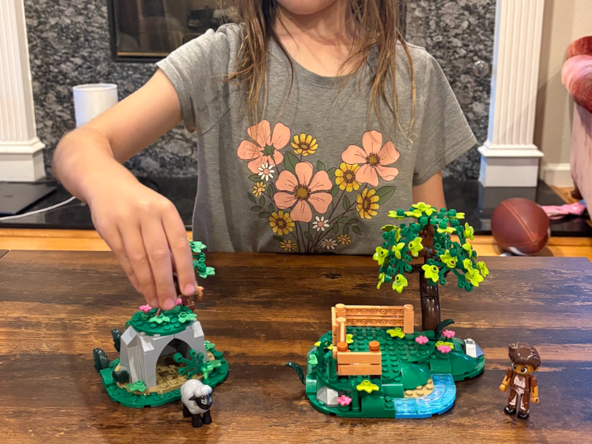 Jesus and the Lost Sheep building set and box