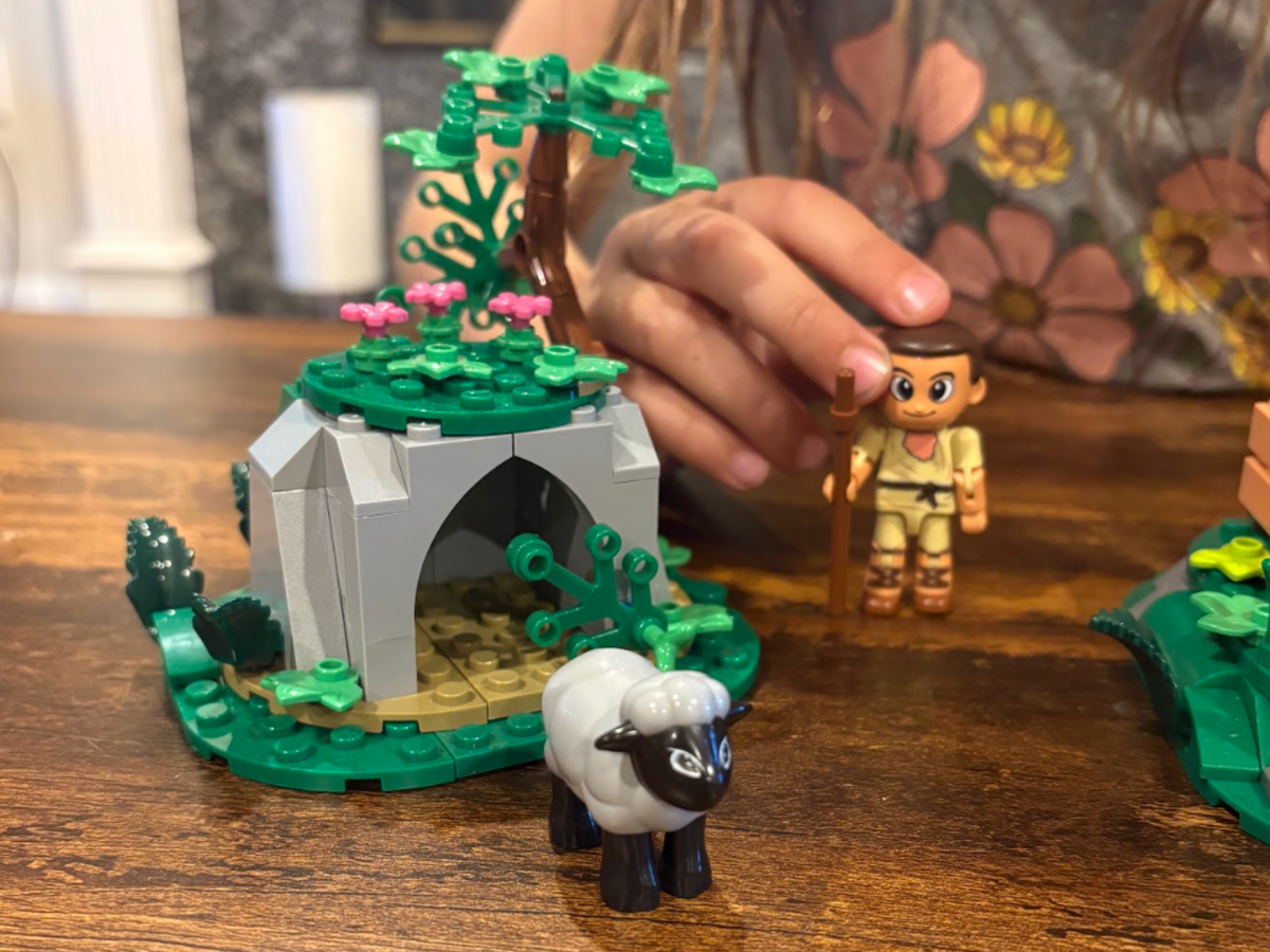 Jesus and the Lost Sheep building set