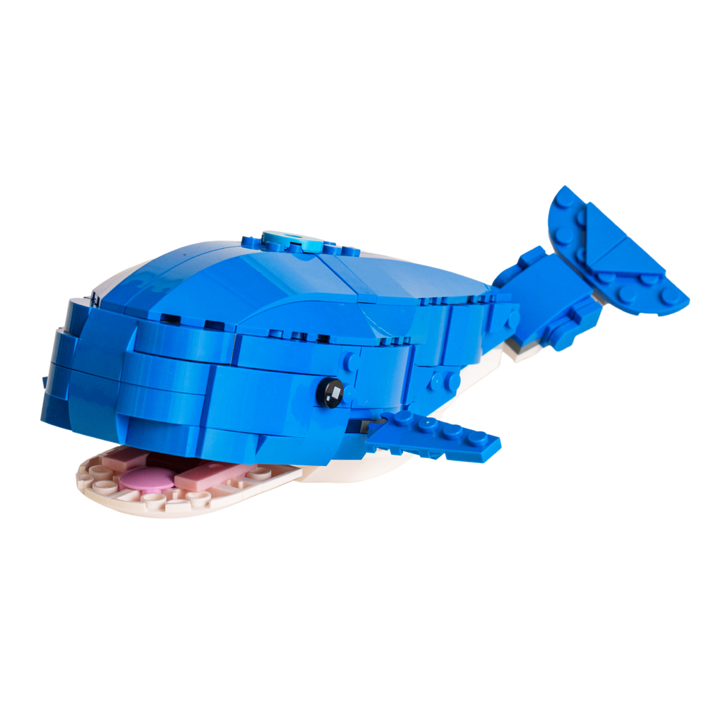 Jonah & the Whale